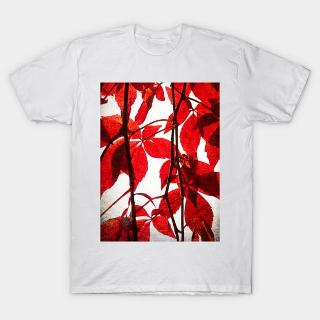 Red Leaves: Brilliant leafy pattern in scarlet and crimson with a canvas look T-Shirt by AtlasMirabilis